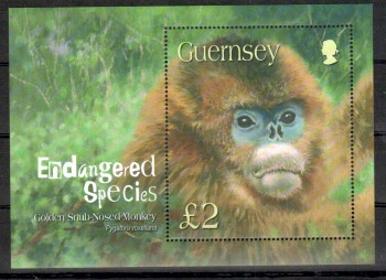 Guernsey Michelnummer 1000 Block 36 postfrisch