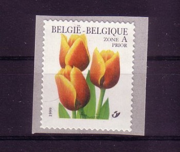 Belgien Michelnummer 2906 postfrisch