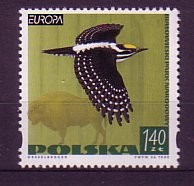 (intern:2320) Polen Michelnummer 3763 postfrisch