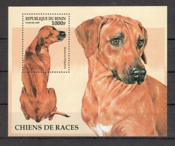 Hunde 051 Benin Michelnummer Block 28 postfrisch