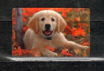 Hunde 103 Deutschland Telefonkarte A 08/2000 postfrisch