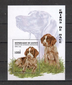 Hunde 204 Guinea Michelnummer Block 503 postfrisch