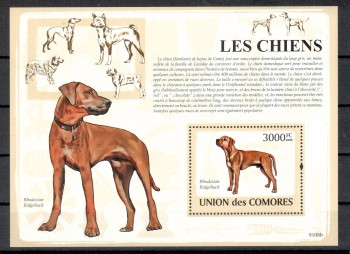 Hunde 300 Komoren Michelnummer Block 477 postfrisch