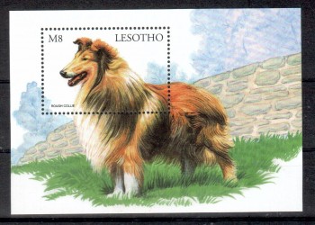 Hunde 346 Lesotho Michelnummer Block 144 postfrisch
