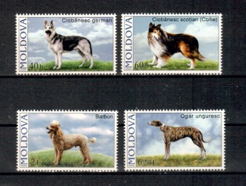 Hunde 388 Moldawien Michelnummer 564 - 568 postfrisch