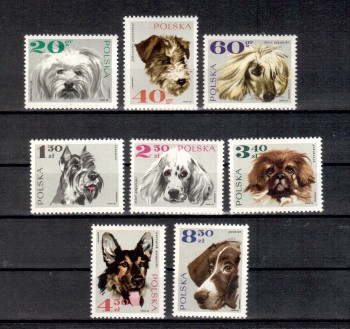 Hunde 474 Polen Michelnummer 1898 - 1903 postfrisch Hunde 474 Polen Michelnummer 1898 - 1903 postfrisch