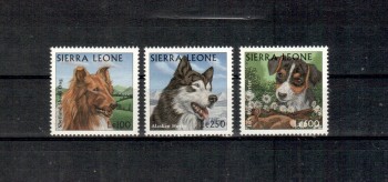Hunde 537 Sierra Leone Michelnummer 2892 - 2894 postfrisch Hunde 537 Sierra Leone Michelnummer 2892 - 2894 postfrisch