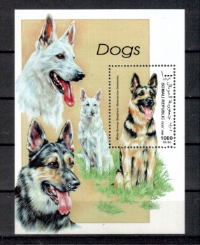 Hunde 556 Somali Vignette postfrisch