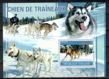 Hunde 589 Togo Michelnummer Block 553 postfrisch