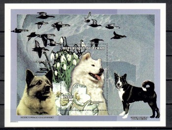 Hunde 599 Tschad Michelnummer Block 283 A postfrisch