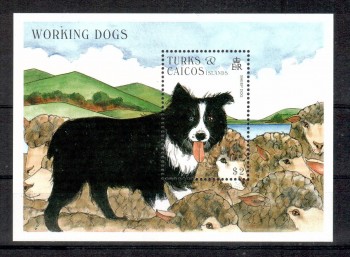 Hunde 610 Turks + Caicos Michelnummer Block 164 postfrisch