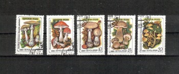 Sowjetunion 5603 - 5607 gestempelt